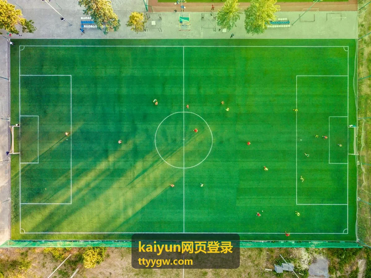 kaiyun网页登录官方访问地址查找