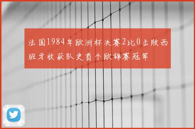 法国1984年欧洲杯决赛2比0击败西班牙收获队史首个欧锦赛冠军