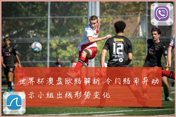 世界杯澳盘欧赔解析 冷门赔率异动暗示小组出线形势变化