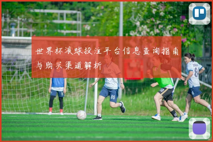 世界杯滚球投注平台信息查询指南与购买渠道解析