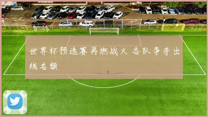 世界杯预选赛再燃战火 各队争夺出线名额