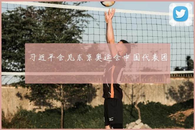 习近平会见东京奥运会中国代表团