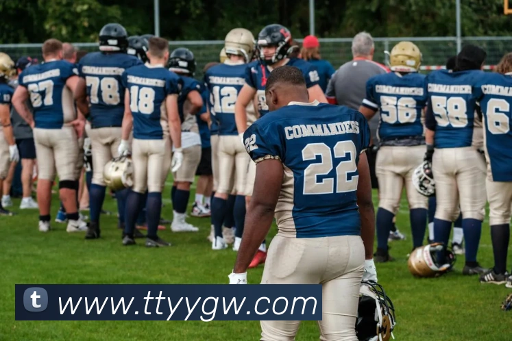 多媒体互动体验